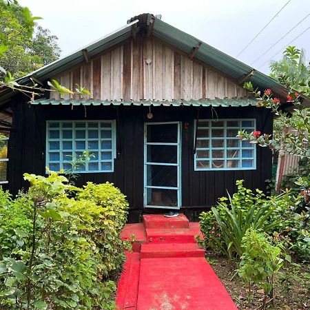 Flor De La Selva Apartment Puerto Narino Exterior photo
